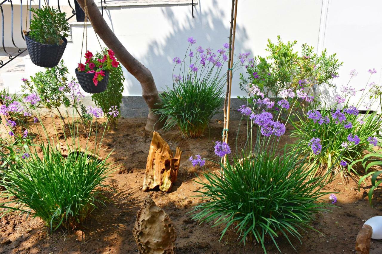 Vicky Studios Myrina Ngoại thất bức ảnh